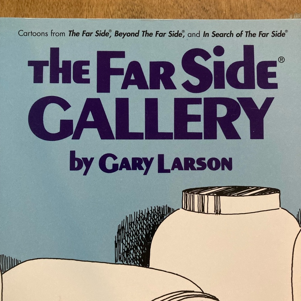 FarSide book bundle 📚 - Picture 3 of 16